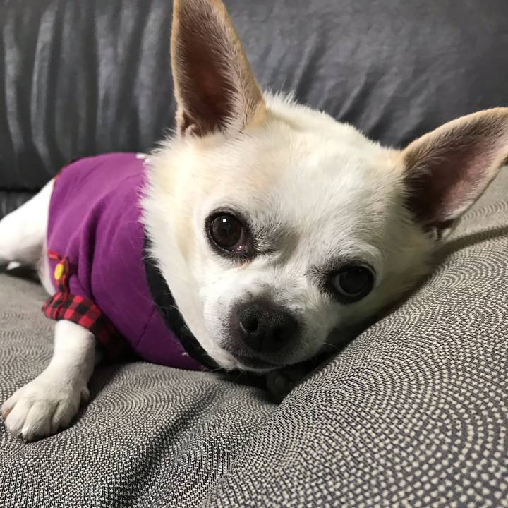 B845abad d6f0 4c9b 9381 d434d31c97b9 1572614022529