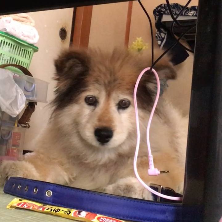 B8461d45 d0dd 4c97 8783 cbc890e5acca 1598680281485