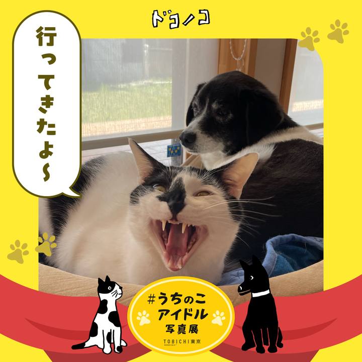 B84630da 3588 4108 bcc6 352a3ed01f11 1761563288551