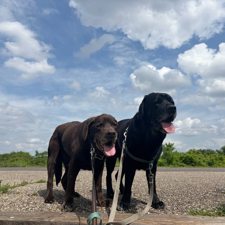 B84654bc c18b 43d1 b4e9 b20099d2c5c3 1777379817684