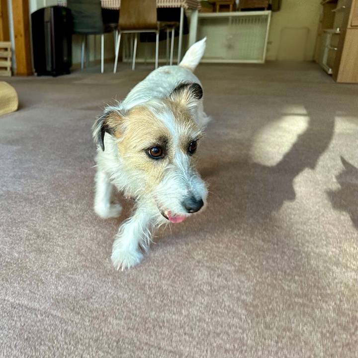 B8466ae3 beca 4e2b a9d7 e29a0a48f8e5 1710720148562