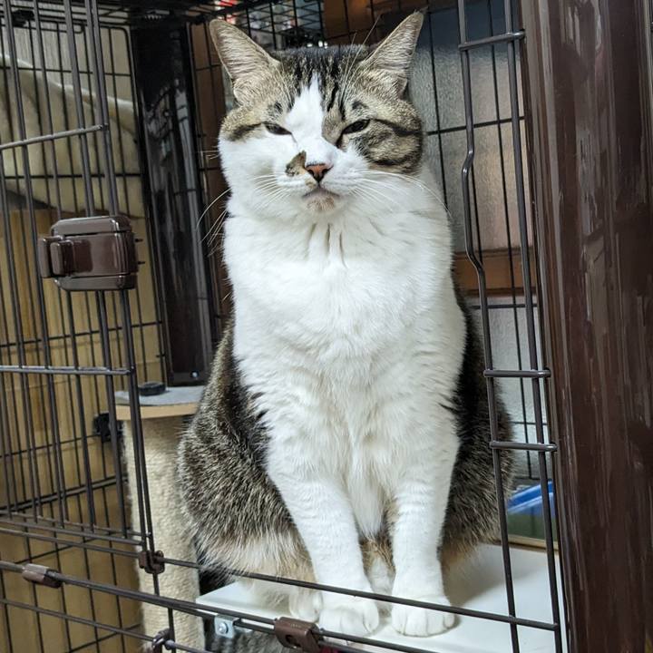 B8467036 4533 408a 868f 9c646eb53d1a 1702646169744