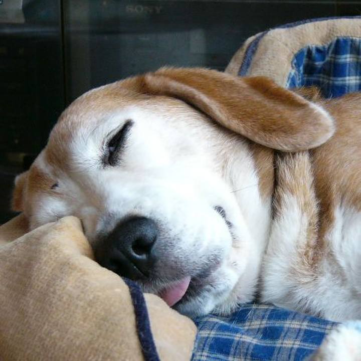 B84672fa 1904 44cf a2ab bbe66cdb5984 1651281394296