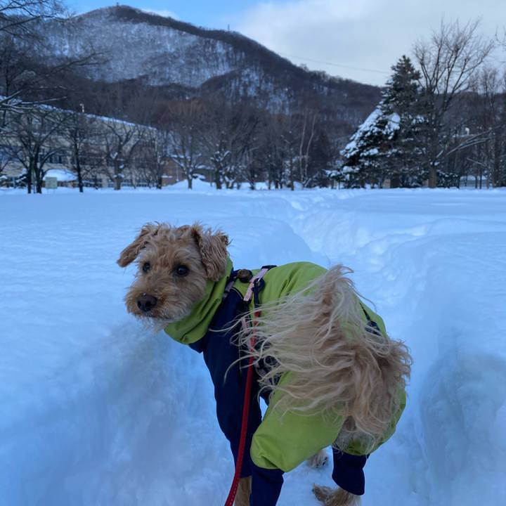 B846917e caaa 4584 adaf 6891b943a885 1645657979735