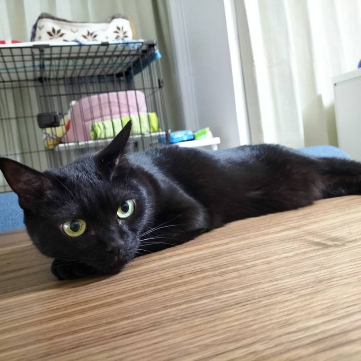 B846b287 3626 4993 b6f8 60d0a1b37737 1683287646903