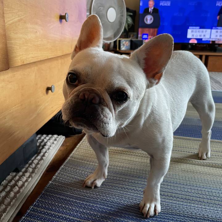 B846c400 2c17 4c09 9755 b67792eadfe6 1755300112073