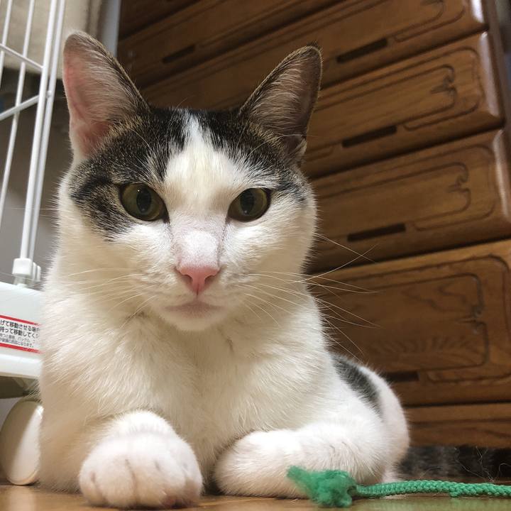 B846cf69 1829 4f0a bb0d 7594c0240ff1 1597928565761