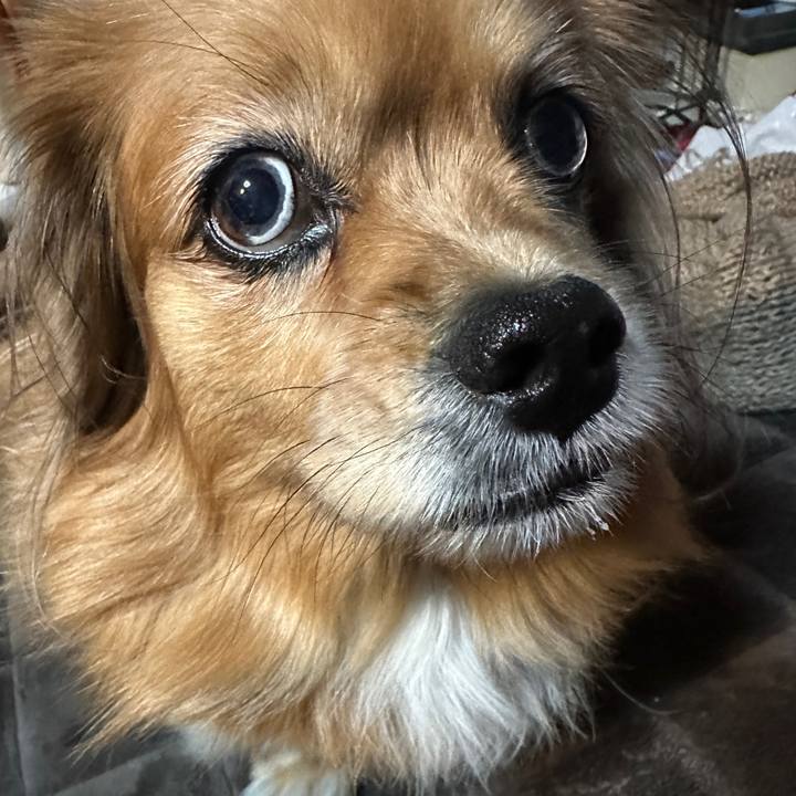 B8470693 b477 406f 9b73 d80977dfe7d0 1734121274628