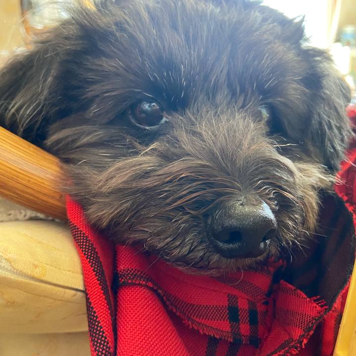 B847152f 4465 4ca9 ac69 aeb5aab02f47 1583120139883