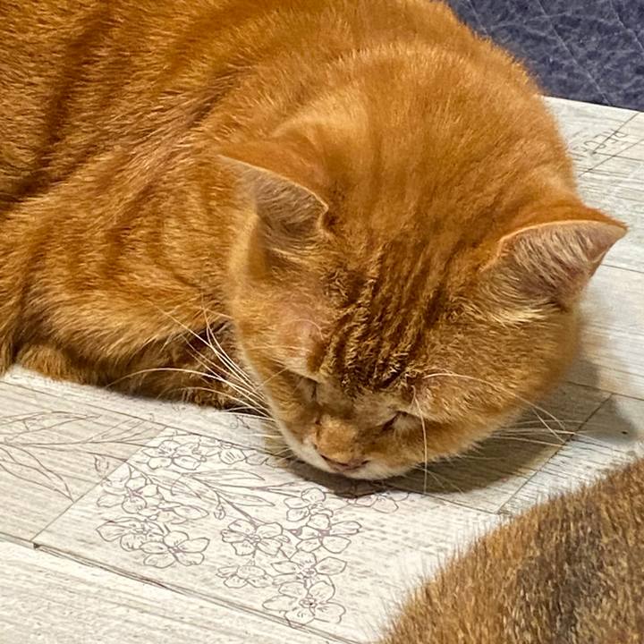 B847160b 5957 49b4 bb5e 21f3f61e1958 1601414046149