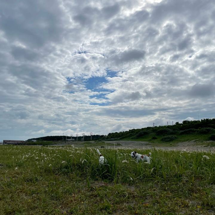 B8471c4a 09d4 4c2c be9d 7d86143b31ac 1687564742626