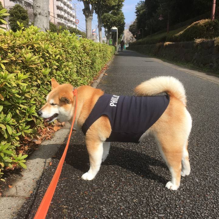 B847773d 654e 44ba b7b8 425b78bbc52d 1551413904187