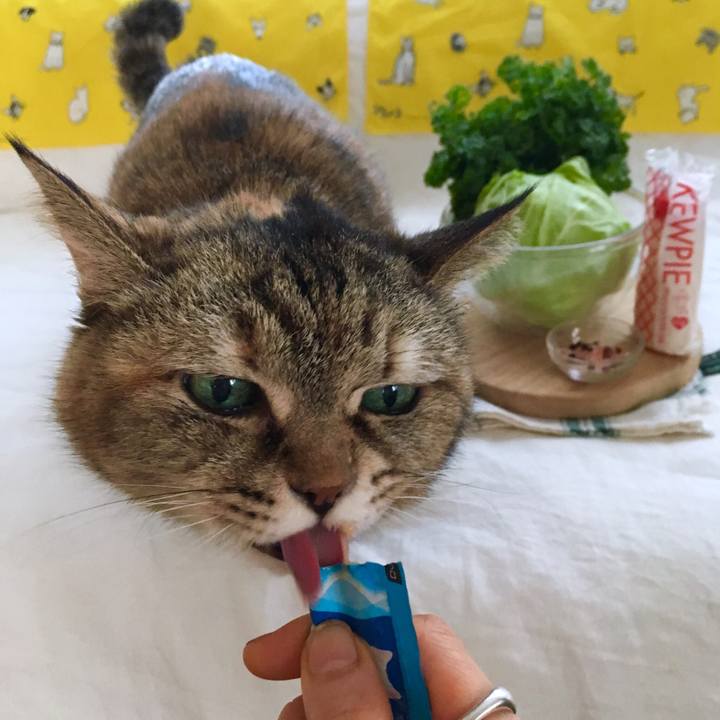 B8479898 874e 445f bd1c 9615bc1b8fed 1525660782867