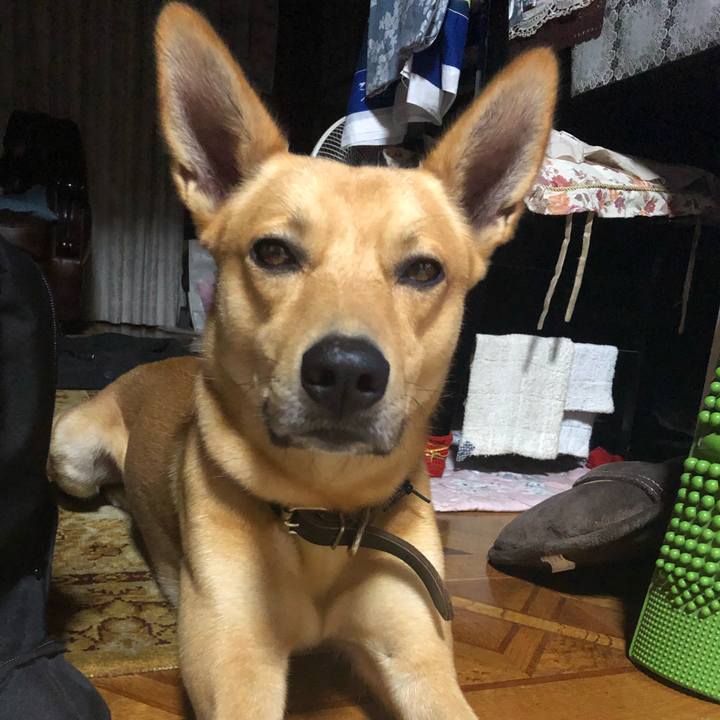 B8479ab0 699d 4708 ad09 962c27aa7534 1570936873637