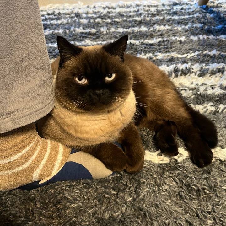 B847bf8f 63ba 4396 a727 b3f38d224926 1672182539010