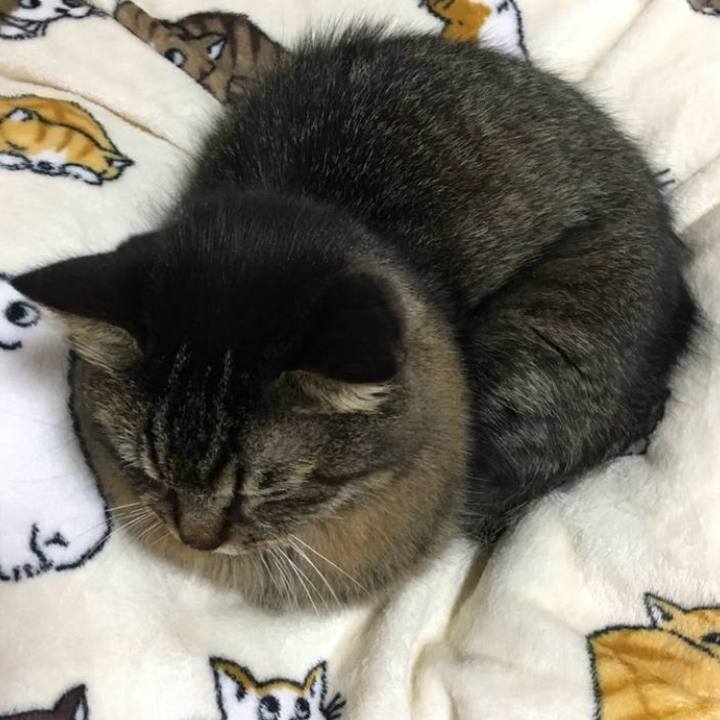 B847e103 5407 44bf a86a 546e7b308e62 1764842851199