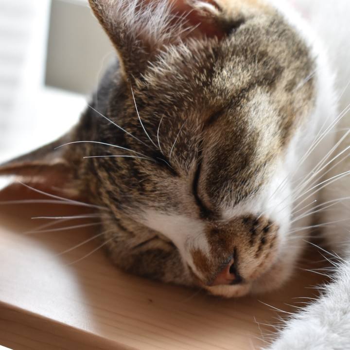 B847f6f0 4299 4710 8e6e 497776b9c4c9 1594624726953