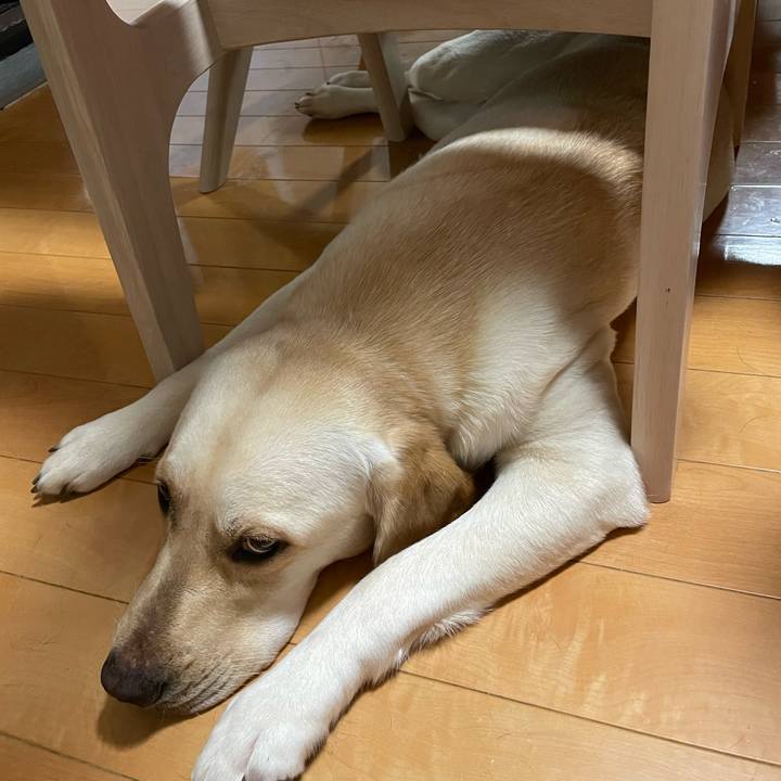 B8480d5f 3dff 41a8 9e9c 5ba74f26ef71 1659421005338