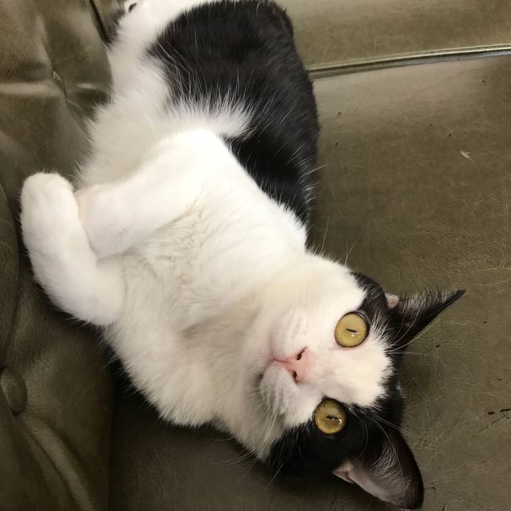 B8488f64 ced0 495a b405 9d5b67d32cd8 1511414428860