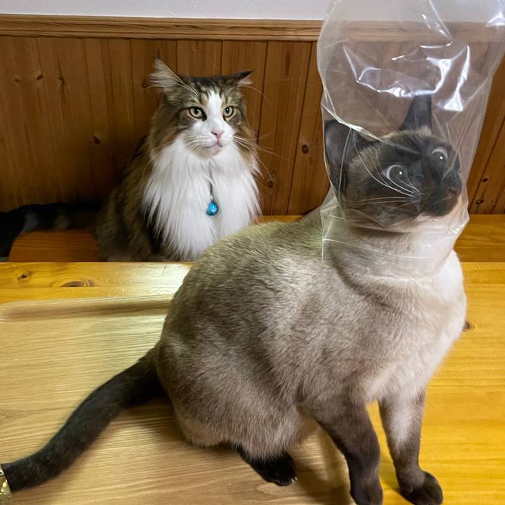 B8489456 8ec9 4ce5 87db 69fc7468273f 1732968045810