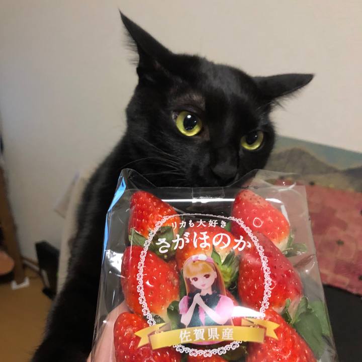 B848d10e 8624 4fd8 bd11 8182c9c4bf67 1576628620497