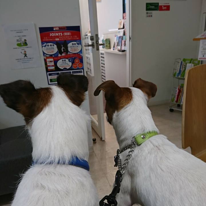 B848d700 f149 48d9 996d 140b8878e8c0 1548476835171