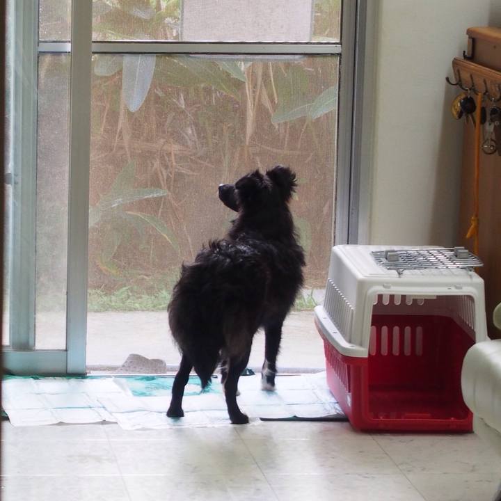 B848dfd3 c5b3 471b 89d1 442671b028bd 1520171273984