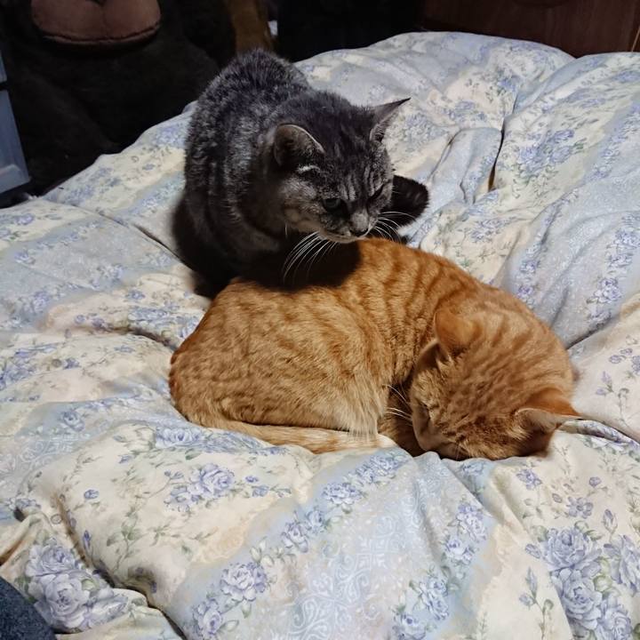 B848e394 4c2a 442a 8cb1 220aa36678b5 1576669465099