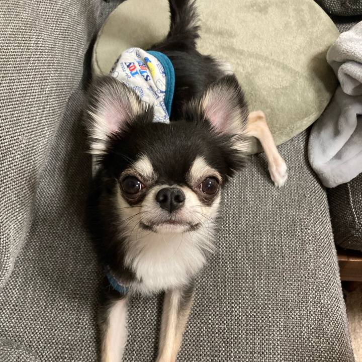 B849150b 6d19 4a25 b193 dfed6fd271c2 1619358539611