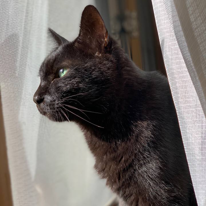 B8493a73 d331 46cb 8a2b c02932d77c01 1603156872552