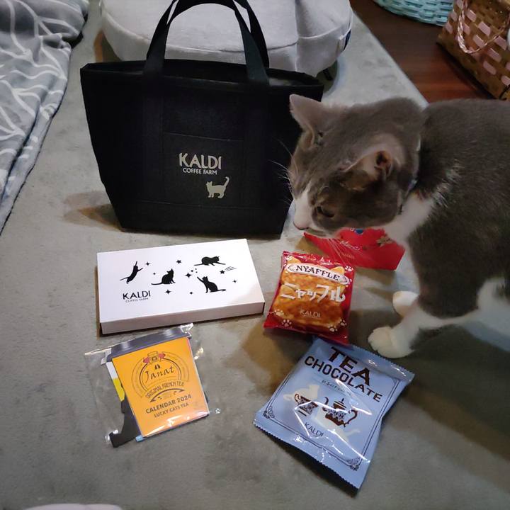 B8494504 f461 420b 9108 10b10cdb91fe 1708770600626