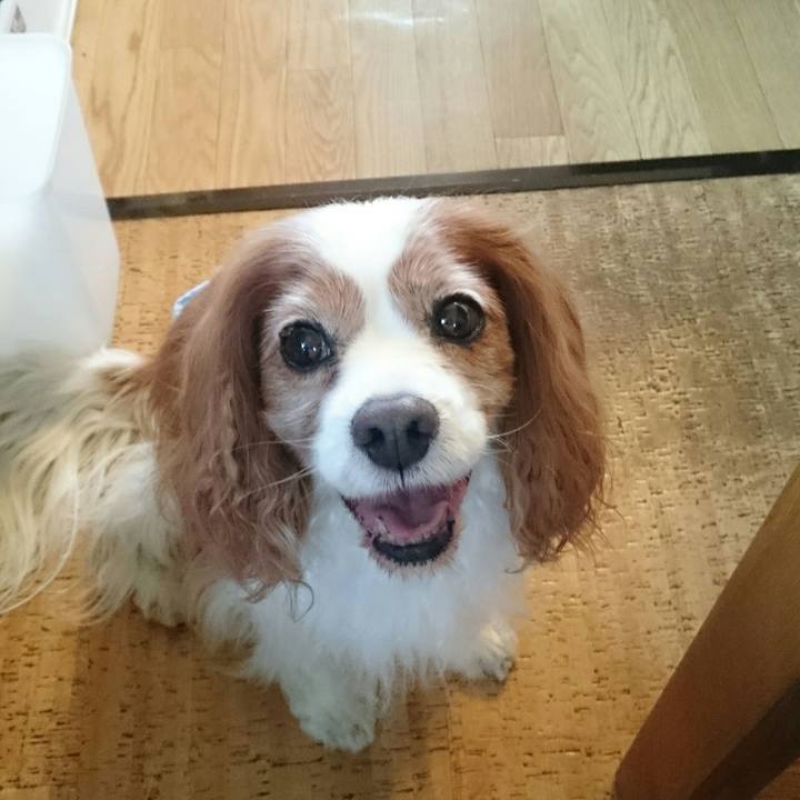 B849743e 9c26 4722 ab9e 84af213624c4 1521974524703