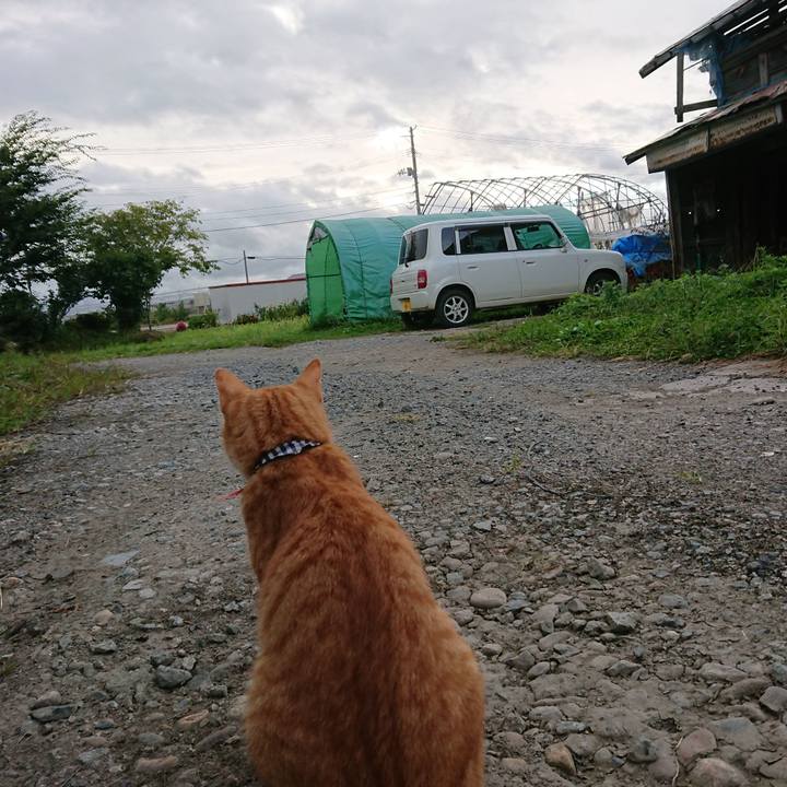 B84987c5 754d 4d40 8667 4811c56417a9 1569188161434