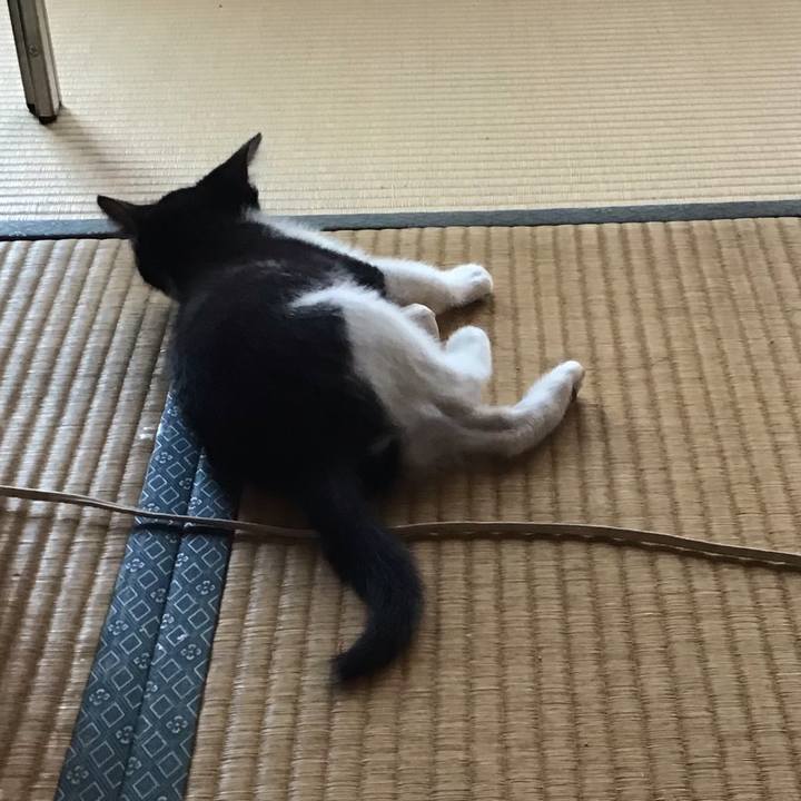 B8499915 6371 4467 8d69 dc6fa4adeda0 1624508709320