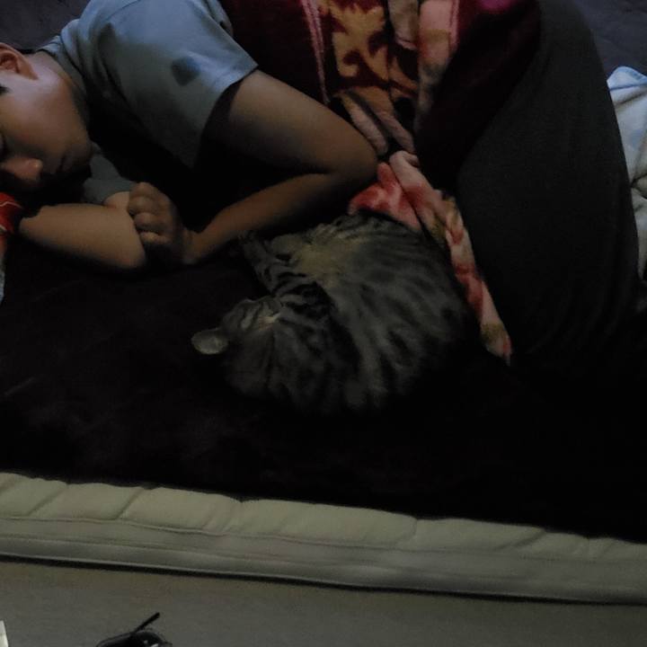 B849d9d8 db36 4113 9ee4 d3bfdfa16dd2 1722568233517