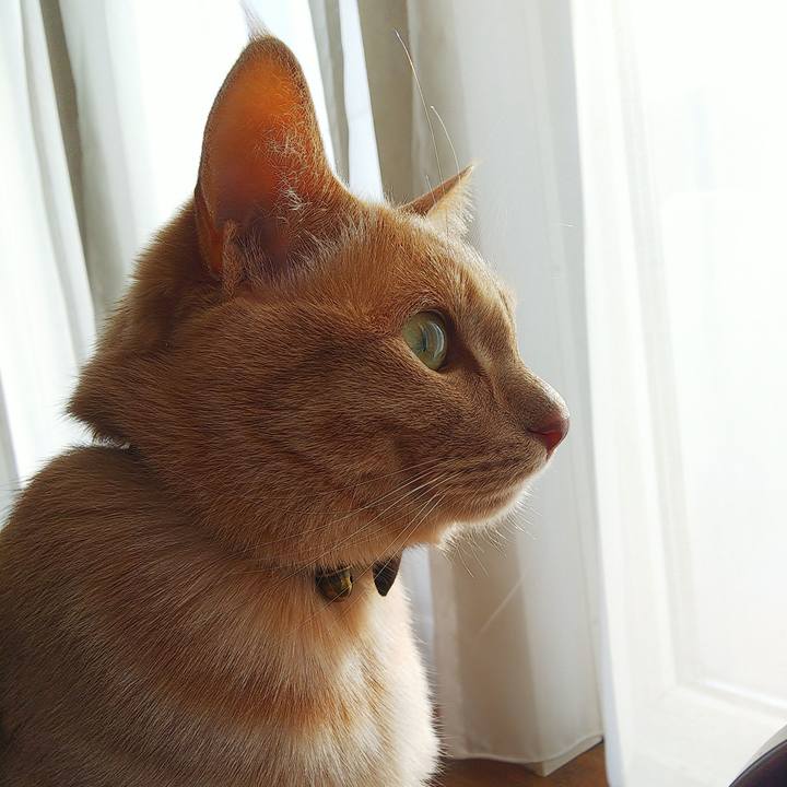 B84a256b d729 486c bc91 2236641f7fdd 1613951537372