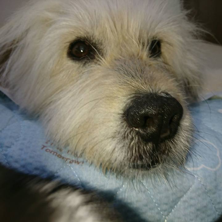 B84a2b90 f737 4071 a570 9ed771a25ba0 1562193422197