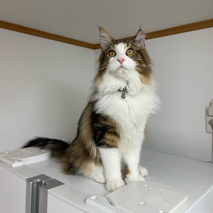 B84a7c89 0e05 48e7 a2dc 06701cd055d5 1642974861952