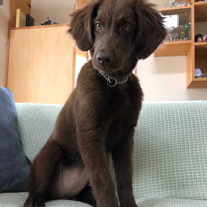 B84aa63e 3a24 4060 bc8f bf4eb8041c65 1555363796379