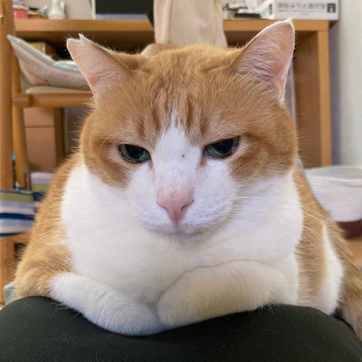 B84ae0cd 8160 4764 a53e 80083203c2fa 1758762854196