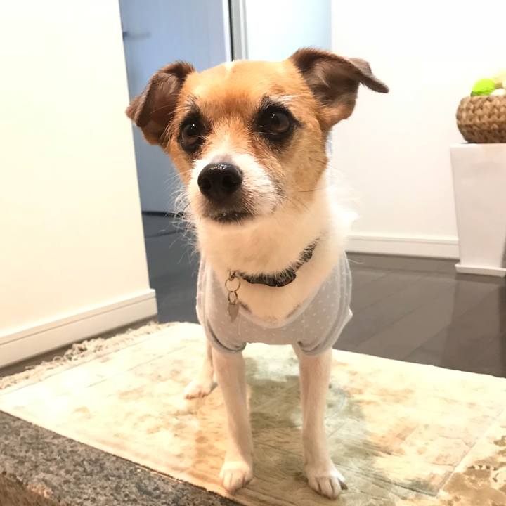 B84af21c c3a8 4161 9f9c ef214395e76b 1525647820433