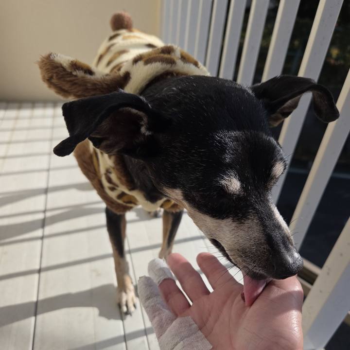 B84b48ed e8d2 4df9 b1f8 bdf8996b9889 1763529542537