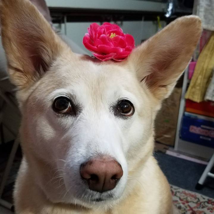 B84b5801 363c 48a2 8fcc 60bae6f83ee3 1518231899415