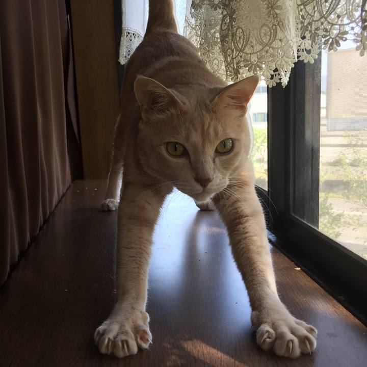 B84b73ce 775c 4276 b649 aeba1bb1863a 1555996767888