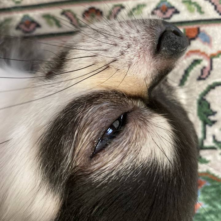 B84bc199 c7f3 4ce8 845e 8c7ab80c57c0 1665409747714