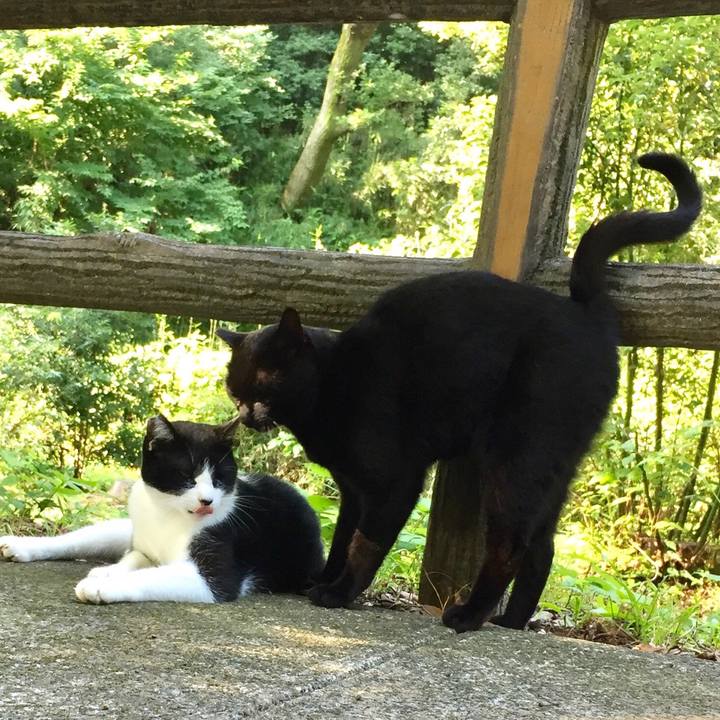 B84bc5b2 ac4a 4030 8524 7567acfa2c3f 1531531009088