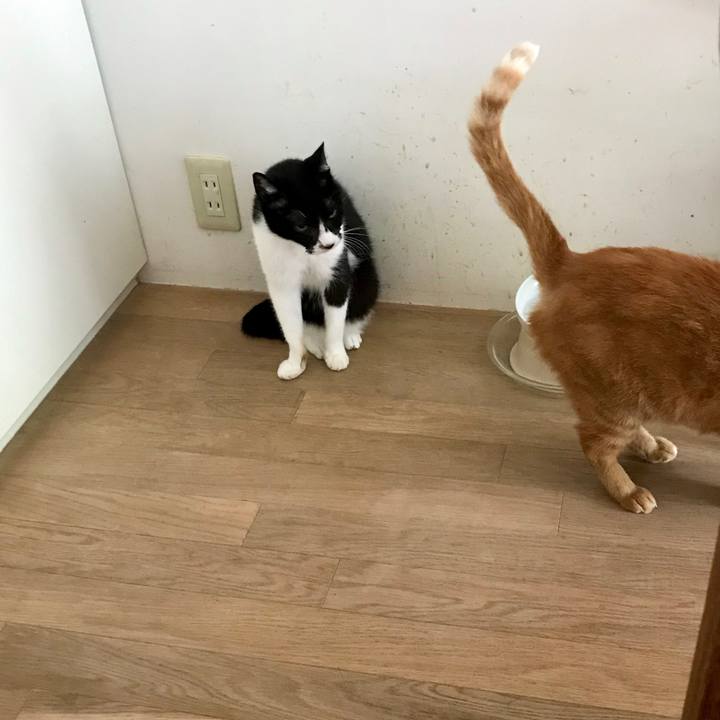 B84bd64a 967a 4f23 89b3 9106e8e8202b 1561616209951