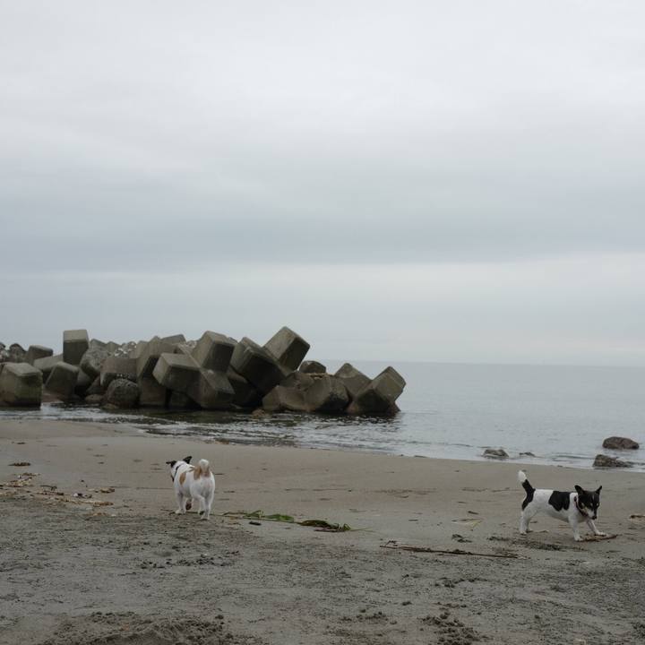 B84bffff c4b4 4bdc 88b7 9792e2c0c9f4 1561348137205