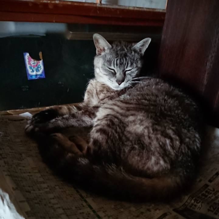 B84c47b4 3343 4d72 8813 5fc6ad30a32d 1568149103205