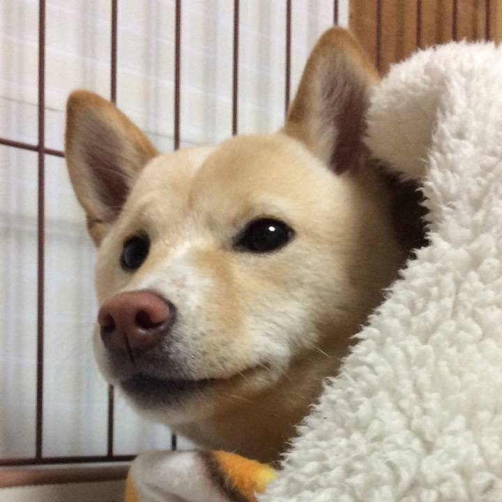 B84ca376 521c 4aa1 be61 b5c64e2e08c8 1517051732252